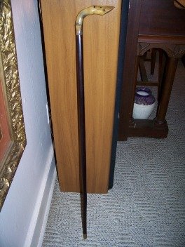 Cane Rosewood Colt's Foot 35 Inches