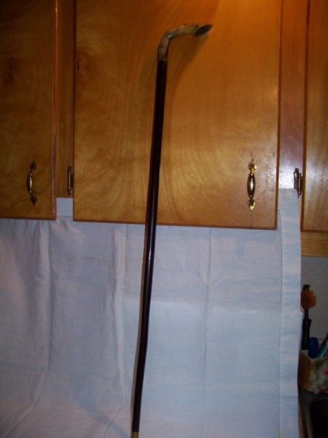 Cane Rosewood Colt's Foot 35 Inches