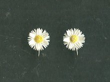 Vintage 12 kt Gold Fill Flower Earrings