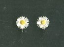 Vintage 12 kt Gold Fill Flower Earrings
