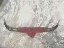 Vintage Steer Horns