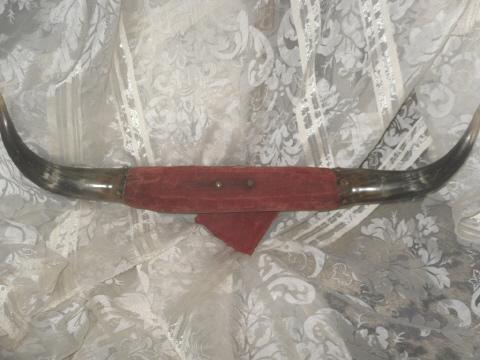 Vintage Steer Horns