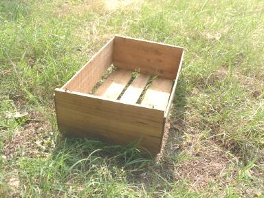 Vintage Wood Shipping Crate w/.Paper Label