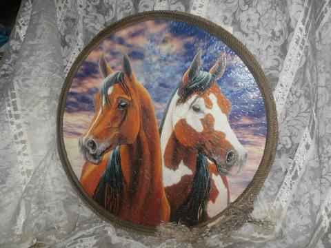 Large Horse Picture w/Lariat Rope Frame