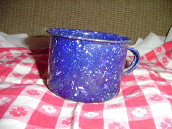 Antique Blue & White Graniteware Mug