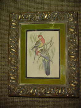 Vintage T. Gould Bird Print w/Frame
