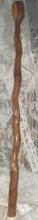 Hand Carved Wooden Walking Stick or Walking Staff