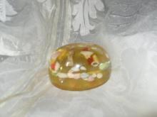 Vintage Seashells Paperweight