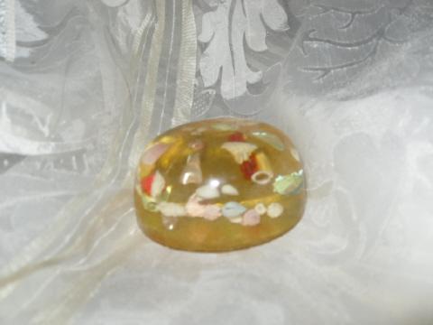 Vintage Seashells Paperweight