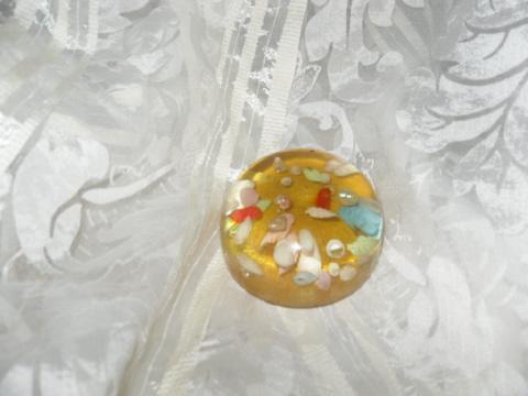Vintage Seashells Paperweight