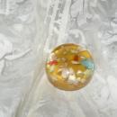Vintage Seashells Paperweight