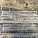 Wire Display Shelves or Sales Rack