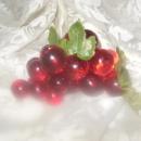 Vintage Set of Red Lucite Grapes Smaller Size
