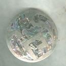 Sterling Silver & Shell Disc Pin