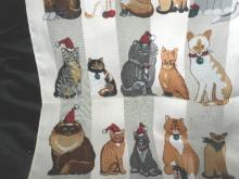 Christmas Holiday Cat Scarf