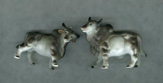 Brahma Bull Pair