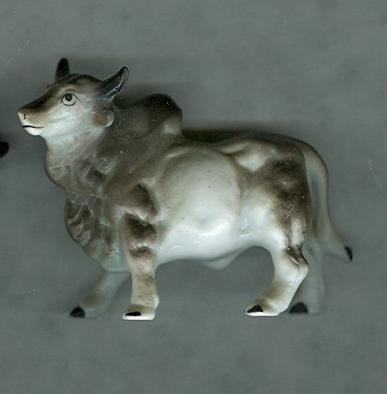 Brahma Bull Pair