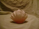 Vintage Ceramic Sea Shell Toothbrush Holder