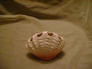 Vintage Ceramic Sea Shell Toothbrush Holder