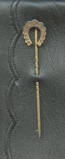 Vintage Gold Wash Horseshoe Hatpin