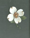 Vintage Enamel Dogwood Flower Pin