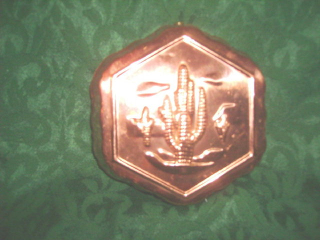 Copper Cactus / Southwest Mold