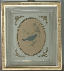 Vintage Blue & Yellow Finch Picture