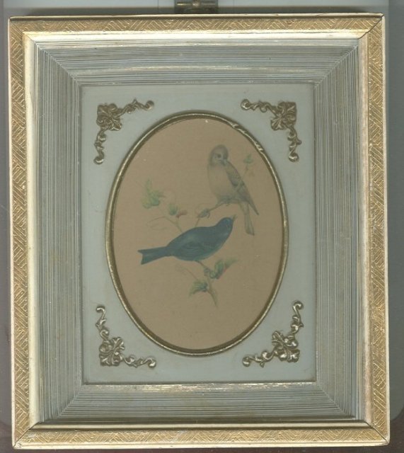 Vintage Blue & Yellow Finch Picture