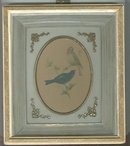 Vintage Blue & Yellow Finch Picture