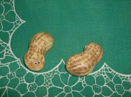 Vintage Ceramic Peanut Salt & Pepper Shakers