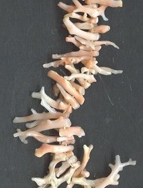Vintage Coral Branch Necklace