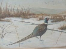 Original Pheasant Painting **Signed