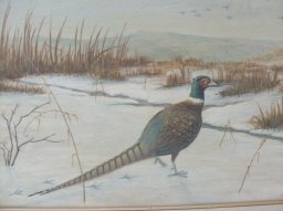 Original Pheasant Painting **Signed