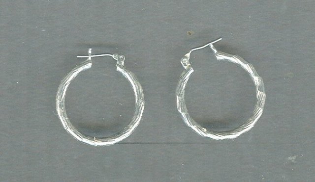 Silver Hoop Earrings
