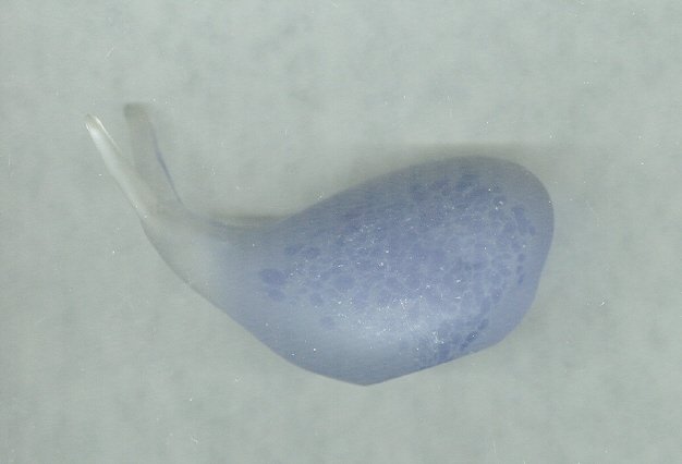 Frosted Glass Whale Paperweight