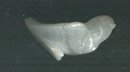 Antique Carved Alabaster Bird
