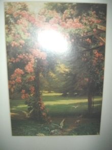 Framed Dove Picture