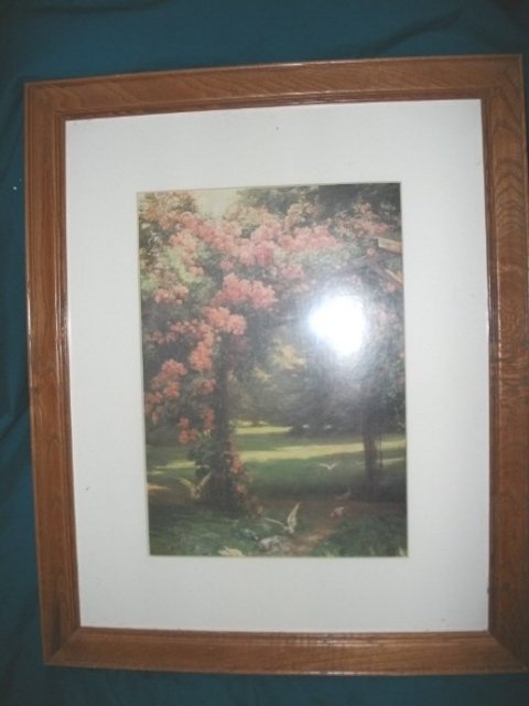 Framed Dove Picture