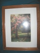 Framed Dove Picture