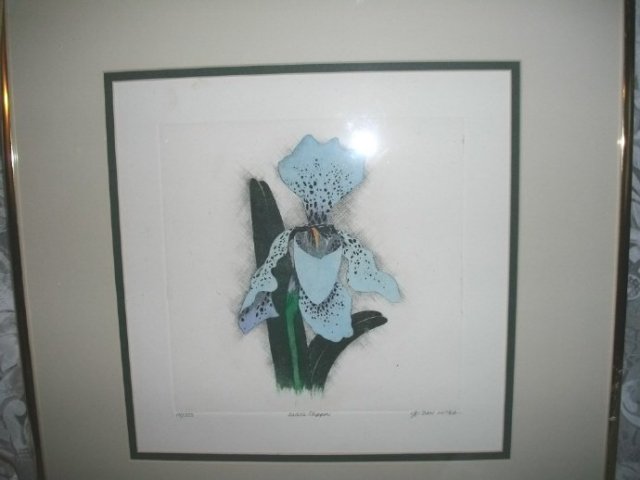 Original Art Signed & Numbered by Dan Mitra