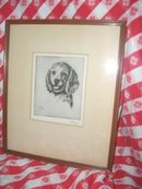 Vintage Albert Edel Puppy Dog Etching **Signed**