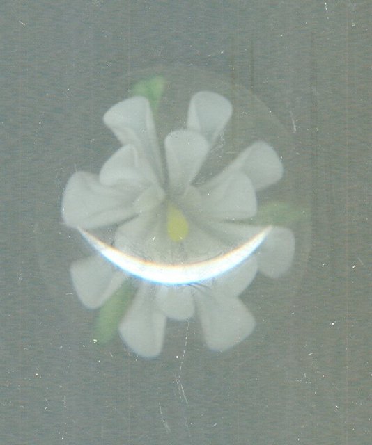 Vintage White Flower Glass Paperweight