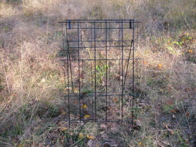 Card Rack or Store Display Rack