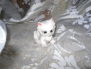 Vintage Josef Original Porcelain Kitty Cat