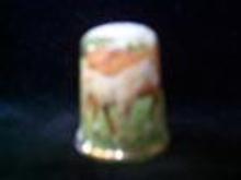 Thimble Dartmoor