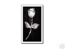 Giovanni Rose Pin