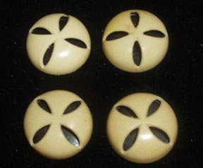 Four Ivoroid Buttons