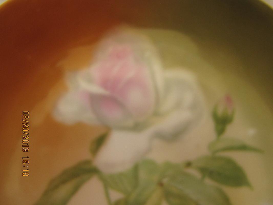 Hutschenreuther Selb Rose Plate