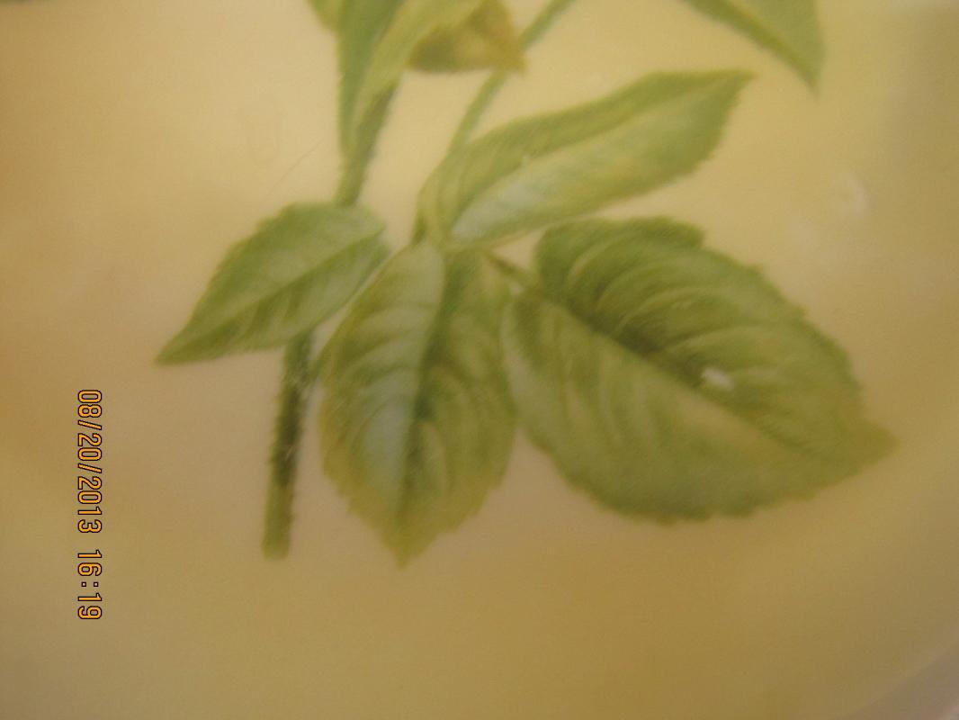 Hutschenreuther Selb Rose Plate