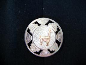 Peruvian Llama Pin/Pendant .925 Silver and 18K Gold